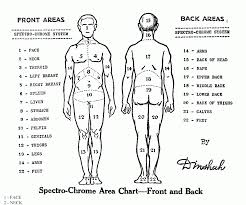 Check out the most painful tattoo spots, ahead. Pin On Scholar