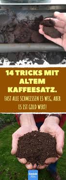 14 Tricks Mit Altem Kaffeesatz 14 Nutzliche Recycling Tipps Fur Altes Kaffeepulver Kaffeepulver Kaffeesatz Recycli Kaffeesatz Garten Recycling Garden Care