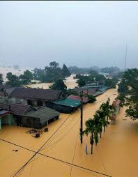 Người dân đang lao đao vì những mái nhà tôn. Nguy CÆ¡ Cao Xuáº¥t Hiá»‡n LÅ© Ä'áº·c Biá»‡t Lá»›n á»Ÿ Miá»n Trung Bao NgÆ°á»i Lao Ä'á»™ng