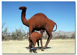 The axe would fall suddenly. Desert Camel In America S Southwest Deserts Desertusa