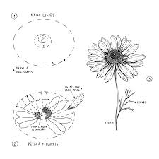 This is an instant digital download, no physical product will be shipped each image is ready to upload and. How To Draw Flowers And Floral Motifs Alice On Instagram Daisy How You Can Draw A Daisy Flower Drawing Daisy Drawing Flower Drawing Tutorials