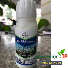 Velum Prime 400SC