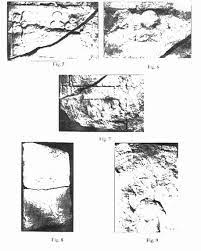 Padea ausdruck (barcode mit vollmachtsnummer) hier aufkleben _____ ort/datum weitere ausdrucke (padea) auf der. Padea Ausdruck Padea Ausdruck Primer Testdaf Schriftlicher Ausdruck 3 Sana Kita