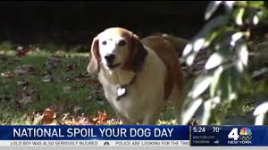James middleton celebrates international dog day in the cutest ways possible 1 /1 back to story august 26, 2021 photo: International Dog Day 2021 Canada Cahunit Com