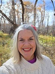 FREE diaper bag backpack. Tons of different pockets and in amazing  condition! Must pick up outdoors in Silt. Due to tremendous interest, I am  going to put this outside for first come,