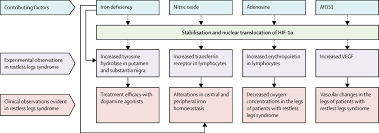 Comorbidities Treatment And Pathophysiology In Restless Legs Syndrome The Lancet Neurology
