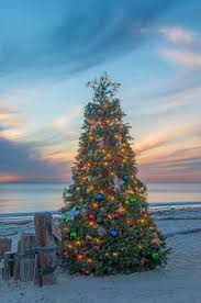 Cartoon hand drawn green christmas decoration sweater illustration. 190 Christmas By The Beach Ideas Coastal Christmas Beach Christmas Beachy Christmas