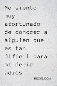 300 Frases De Amigos Inspiradoras Para Tu Mejor Amigo Frases Cursis Citas Sobre Amigos Frases Bonitas