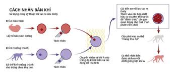 Check spelling or type a new query. Nhan Báº£n Con NgÆ°á»i Nen Má»«ng Hay Lo Sá»£ Tuá»•i Tráº» Online