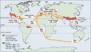This world map displays data centers that currently operate sap cloud services. Citrus Origin Center Map Adapted From Information Published By Davies Download Scientific Diagram