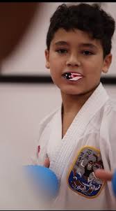 Karate software for tournaments: the best software for the rapid  development of any Karate Tournament: Coaches