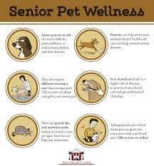 Well pet vet clinic is your local veterinarian in pittsburg serving all of your needs. Pin By Doctors Pet Clinic On Infographics Pet Wellness Senior Dogs Care Senior Pet Care