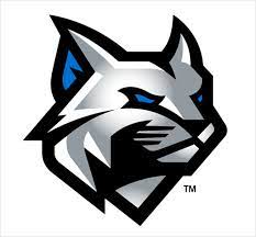 2017 Penn College Wildcats Animal Logo Sports Logo Design Logo Color