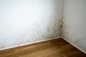 If you are painting over raw wood for your moulding, i probably would use a primer as it is less expensive than kilz and is a great smoother/sealer. The Best Mold Killing Primer And Mold Resistant Paints