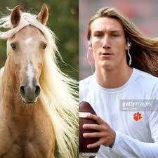 Trevor lawrence hasn't lost a football game since being at cartersville high school, when his team fell to trevor lawrence has remarkably won 70 of the last 71 games he's been a part of, but his high. Trevor Lawrence Look Alike Cartoon
