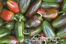 Ante paraguay cierra su ciclo de partidos grupales, un rival desesperado por sumar para no quedarse fuera de la fiesta. Vendo Plantines De Jalapenos Mexicano 992711 Clasipar Com En Paraguay