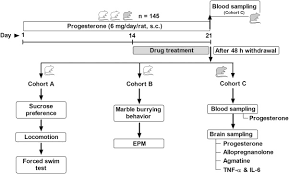 Image result for Progesterone Challenge Test