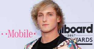 His older brother, logan paul, is also a youtuber and their parents are pamela ann. Logan Paul Net Worth 2021 Age Height Weight Girlfriend Dating Bio Wiki Wealthy Persons