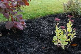 Maybe you would like to learn more about one of these? Bark Mulch The Ultimate Weed Suppressant Denbow