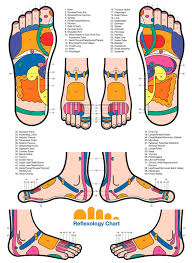 Reflexology Thai Foot Massage Reflexology Foot Massage