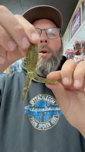 Friend if the shop and Elite Series Pro Bernie Schultz Fishing was at the  Shimano North America Fishing booth showing us the new Zumverno Jerkbait  and all new colors for the Arma