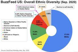 1) please limit your usage of profanity and be respectful to other cultures. 2020 Update On Diversity At Buzzfeed