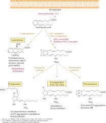 Nonsteroidal Antiinflammatory Drugs Goldfranks