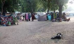 Also, come visit our unique exotic animal park. Hunger Destitution Bama Idps Return Home To Harsh Conditions Humangle Media Limited