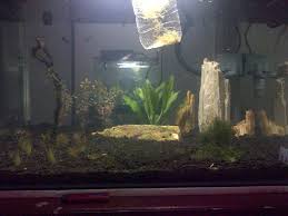 Begitulah cara merakit atau membuat aquarium sendiri dengan mudah di rumah. Estimasi Biaya Untuk Membuat Aquascape Sederhana Kusnendar