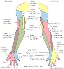 Pin On El Paso Neuropathy Institute