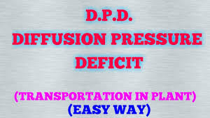 Diffusion Pressure Deficit D P D Transportation In Plant Part 3 Youtube