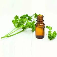 شرب زيت البقدونس herbs food parsley