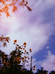 Morning Vibes Sky Aesthetic Aesthetic Photography Nature Tumblr Photography