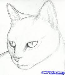 Maybe you would like to learn more about one of these? Kawai Gift Step By Step Easy Realistic Drawings Of Animals