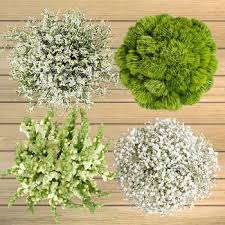 We did not find results for: 100 Stem White Fillers Types Of Flowers Costco Flowers Red And White Roses