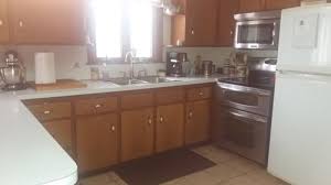 wood cabinets paint or stripped