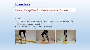 Fitness Tests 3 2 How Fitness Is Measured Ppt Download