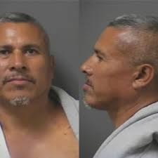 No contest plea in 2010 fatal crash