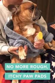 Purchase them at your local at home store. 24 Your Pet Ideas Your Pet Pets Dog Armor