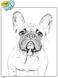 Choose a coloring page that best fits your aspiration. French Bulldog Pet Dog Coloring Page Crayola Com