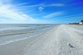 Image result for Sandy Beach 2013 Captiva