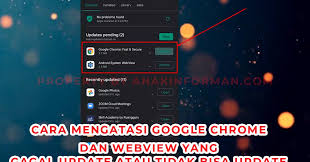 For this device i have written a cordova application and installed it as a system app. How To Fix Google Chrome Webview Cannot Update On Playstore