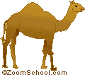 The scientific name for a camel is camelus. Names Of Animals Babies And Groups Enchantedlearning Com