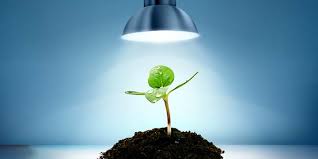 Check spelling or type a new query. Led Grow Lights The Best Choice For Indoor Plants Gardens