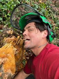 hubby Bruce cleared the big tree