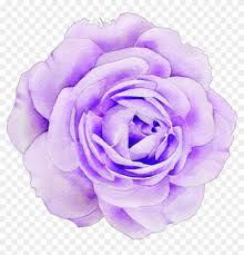 Browse thousands of aesthetic logo designs. Purple Rose Roses Aesthetic Cute Tumblr Flower Clipart 1762855 Pikpng