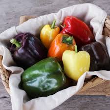 Image result for Capsicum