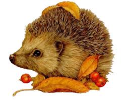 Nancy Hayes S Wolvesarewonderful Animals 1 Album Animal Canvas Paintings Animal Art Animal Illustration