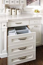 Our garbage sits outside of the cabinet because there are 6 people and someone is always throwing something out (when not. Side By Side Pull Out Garbage Bins Design Ideas