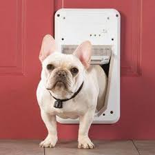 Your one stop pet shop! Home Pet Stop Pet Fence Systems Of Alabama Electric Dog Fencing